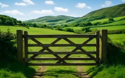 Discover the Charm of Authentic Traditional Farm Gates Ireland for Rustic Elegance