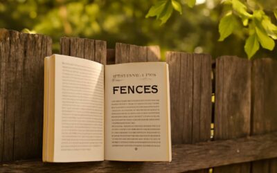 Boundaries, Dreams, Belonging: fences story book that sparks imagination