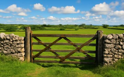 Discover farm gates ireland: secure, stylish fencing for your farm.