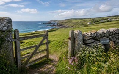 Farm gates Cornwall, your route to local food.
