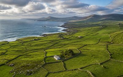 Fences Ireland, understanding your property boundary options.