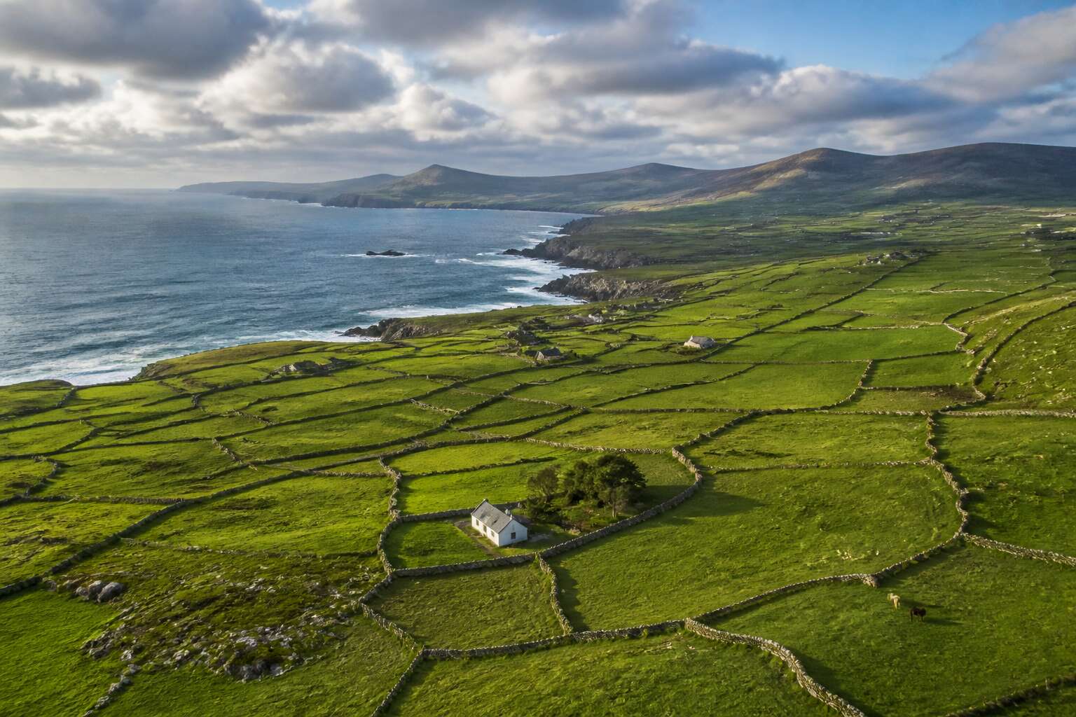 generated_image_6ac83aee398a5.jpg fences ireland